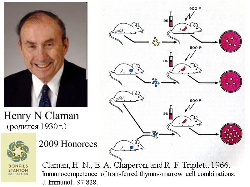 Henry N Claman 2009 Honorees Claman, H. N., E. A. Chaperon, and R. F.